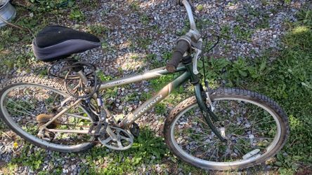 Women's bike