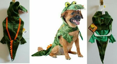 Pet Gator Costume - X-Small & Small