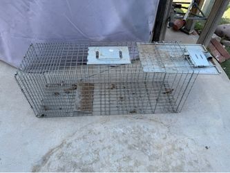 Medium humane  animal trap