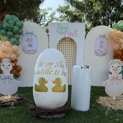 Gender Reveal 