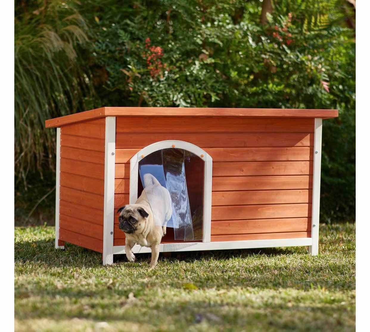 Dog House
