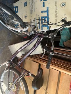 Schwinn bicycle