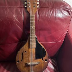 Favilla Stradolin style mandolin for sale