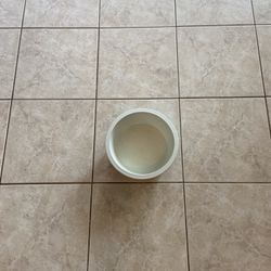 Large Dog Bowl