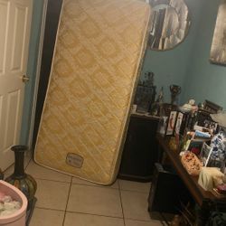 Two  Royal Twens Bed Wi Boxes And The Frame For $100