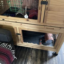 guinea Pig House