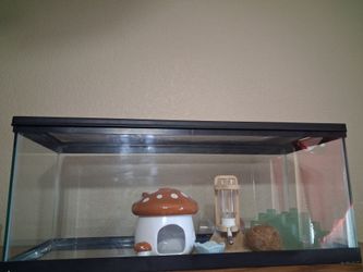 Hamster/pet cage