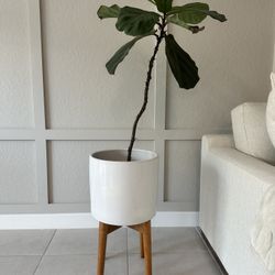 Mid-Century Turned Wood Leg Planter