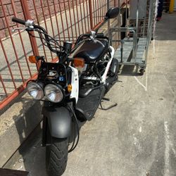 Honda Ruckus