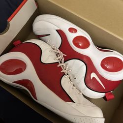 Nike flight Zoom size 11.5