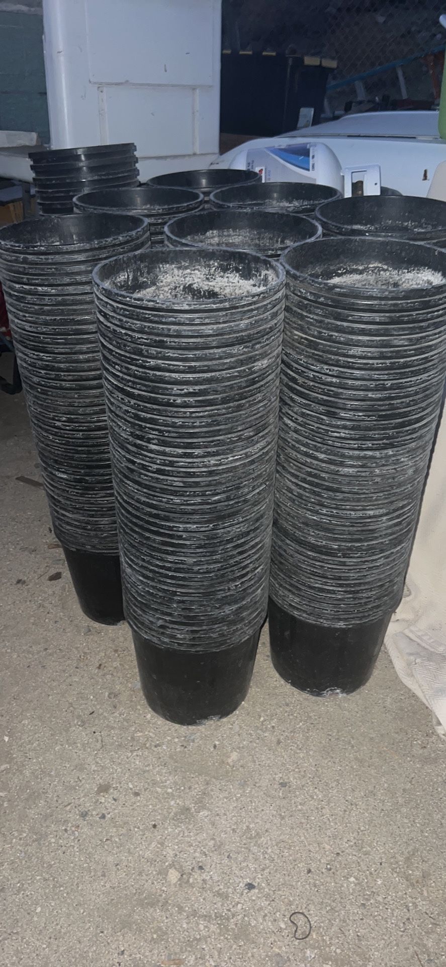 300 3 Gallon Nursery Pots for Sale in Desert Hot Springs, CA OfferUp