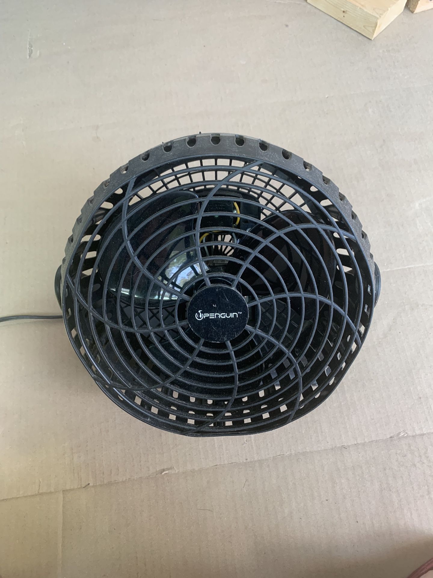Fan