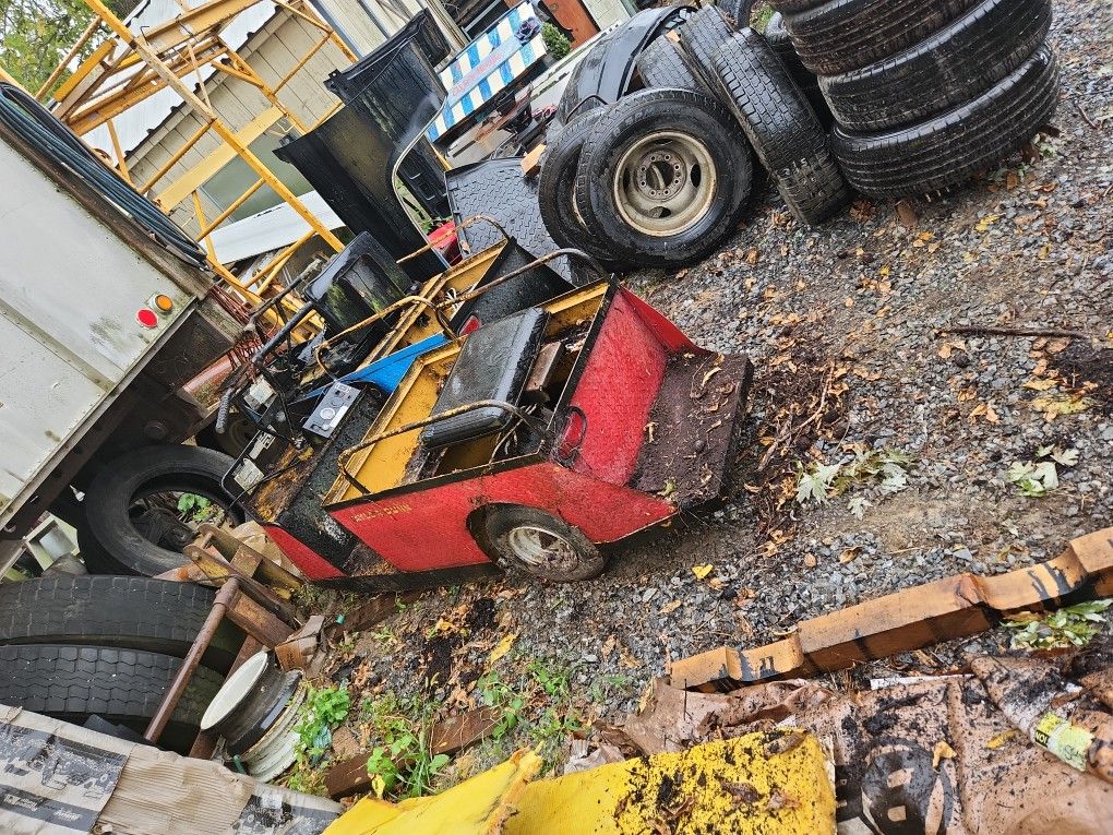 Taylor Dunn Electric Cart