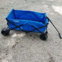 Children Foldable Wagon 