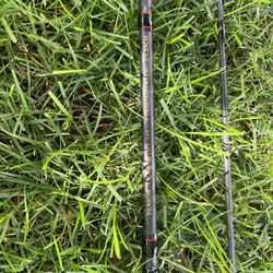 Berkeley Fishing Spinning Rod