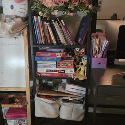 Shelf/book Case And Children's Books