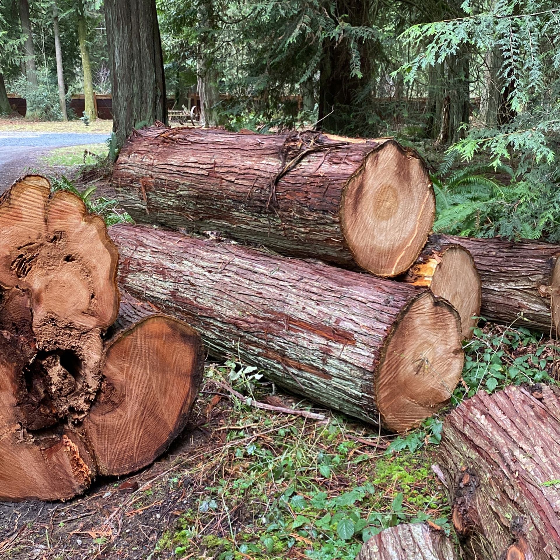 Cedar Logs for Sale in Stanwood, WA OfferUp