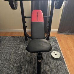 Standard Size Bench Press