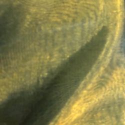 Fabric polyester sheer lime wicked green organza sewing dressmaking crafting decor cloth material