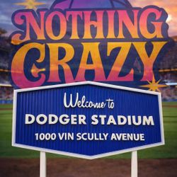 perfect Dodger Valentines Gift