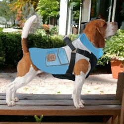🐾 Dog Jacket Show & Tail "The All-Terrain Trekker", Blue