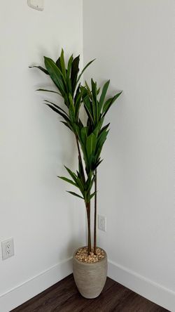 Dracaena Artificial Plant in Sand Colored Planter