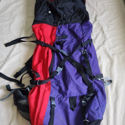 Dana Design Backpack Large 