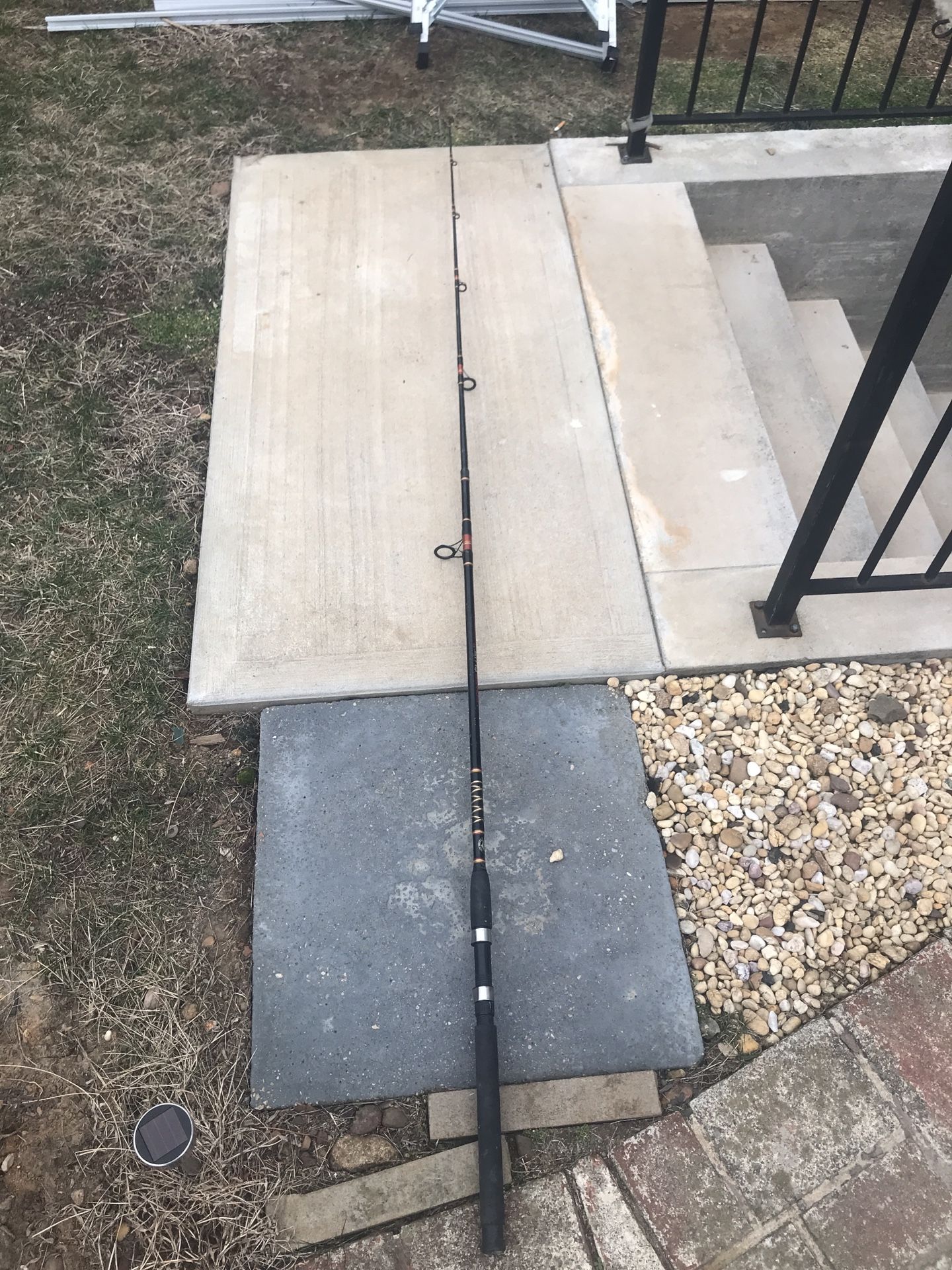 Spinning Rods 