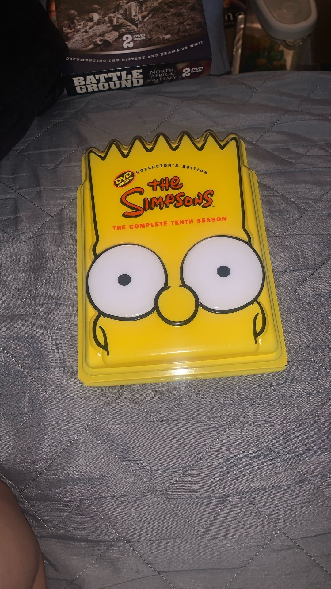 The Simpsons 10th Season 