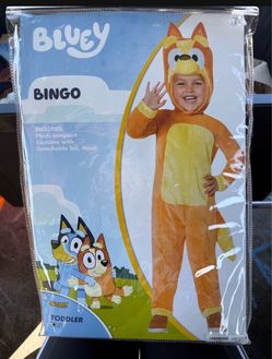Bingo costume