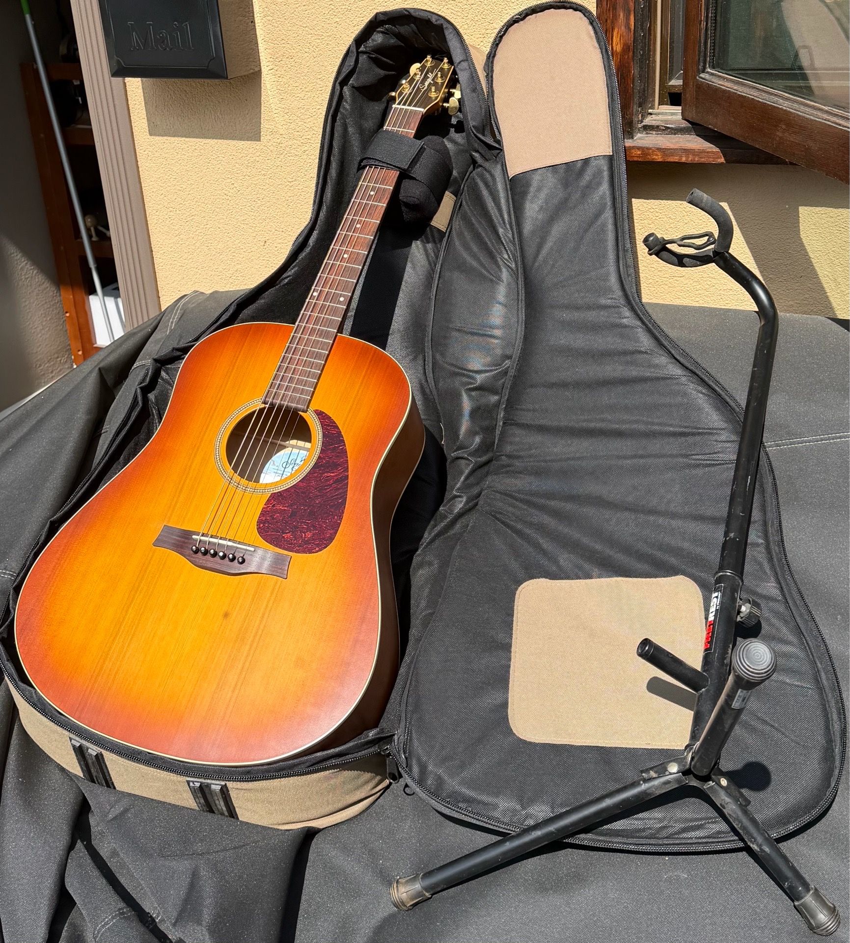 Seagull Entourage Rustic never used