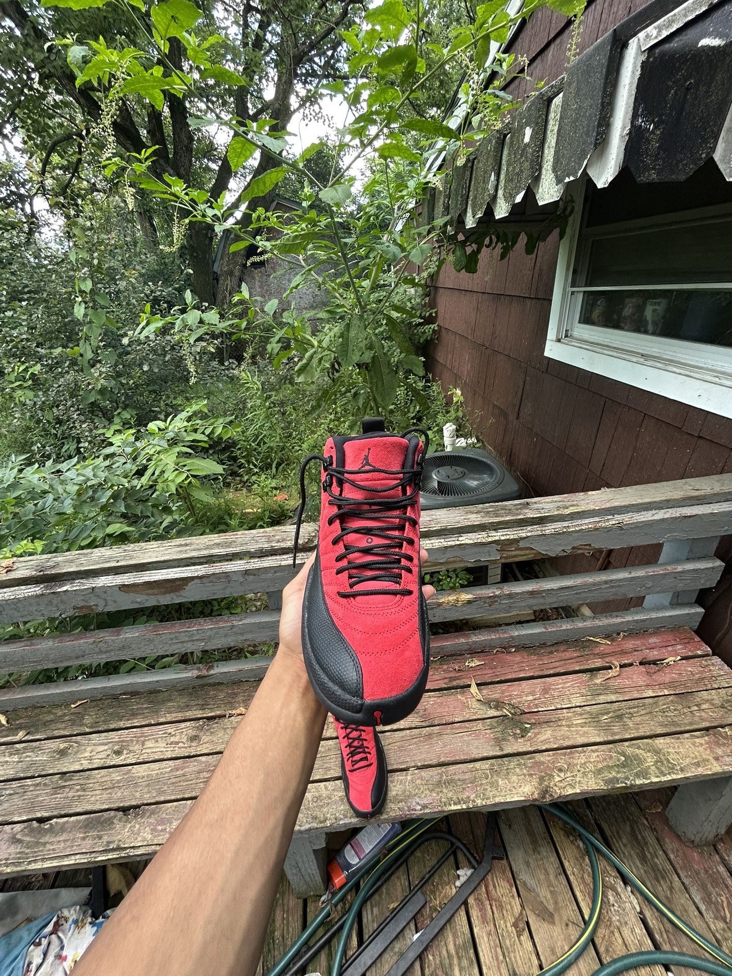 Jordan 12 9/5 No Box