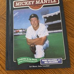 Mickey Mantle kids book
