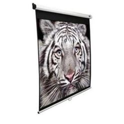 Manual Series White 135" diagonal Manual Projection Screen