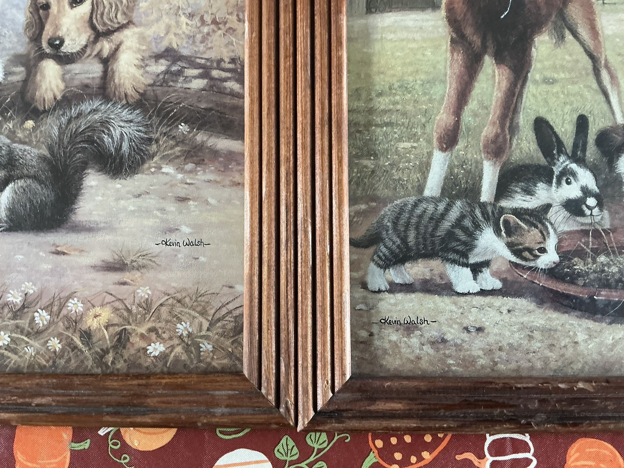 Kevin Walsh Pictures Signed