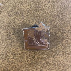County Bear Big Al Disney Pin