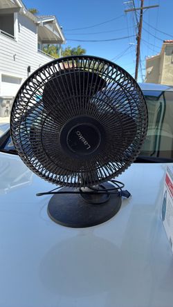 Fan