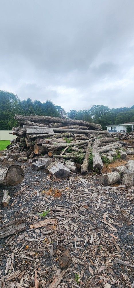 Tri Axle And a Half Of Logs