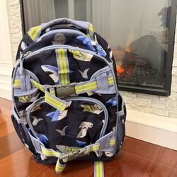 Pottery Barn backpack 