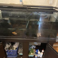 75 Gallon Fish Tank With Top And Stand 
