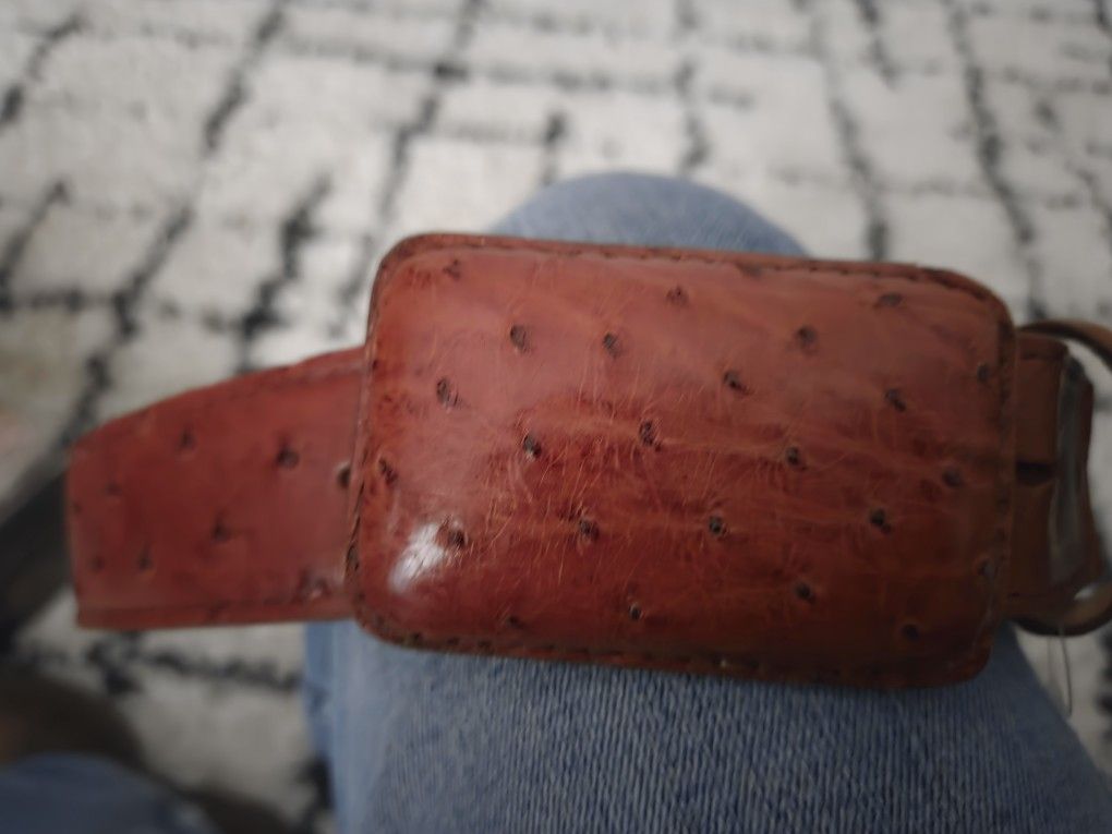 Ostrich Belt
