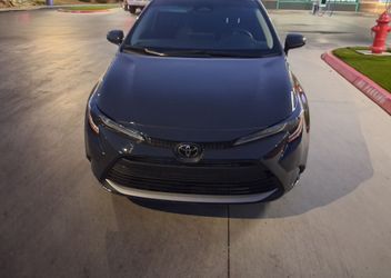 2023 Toyota corolla