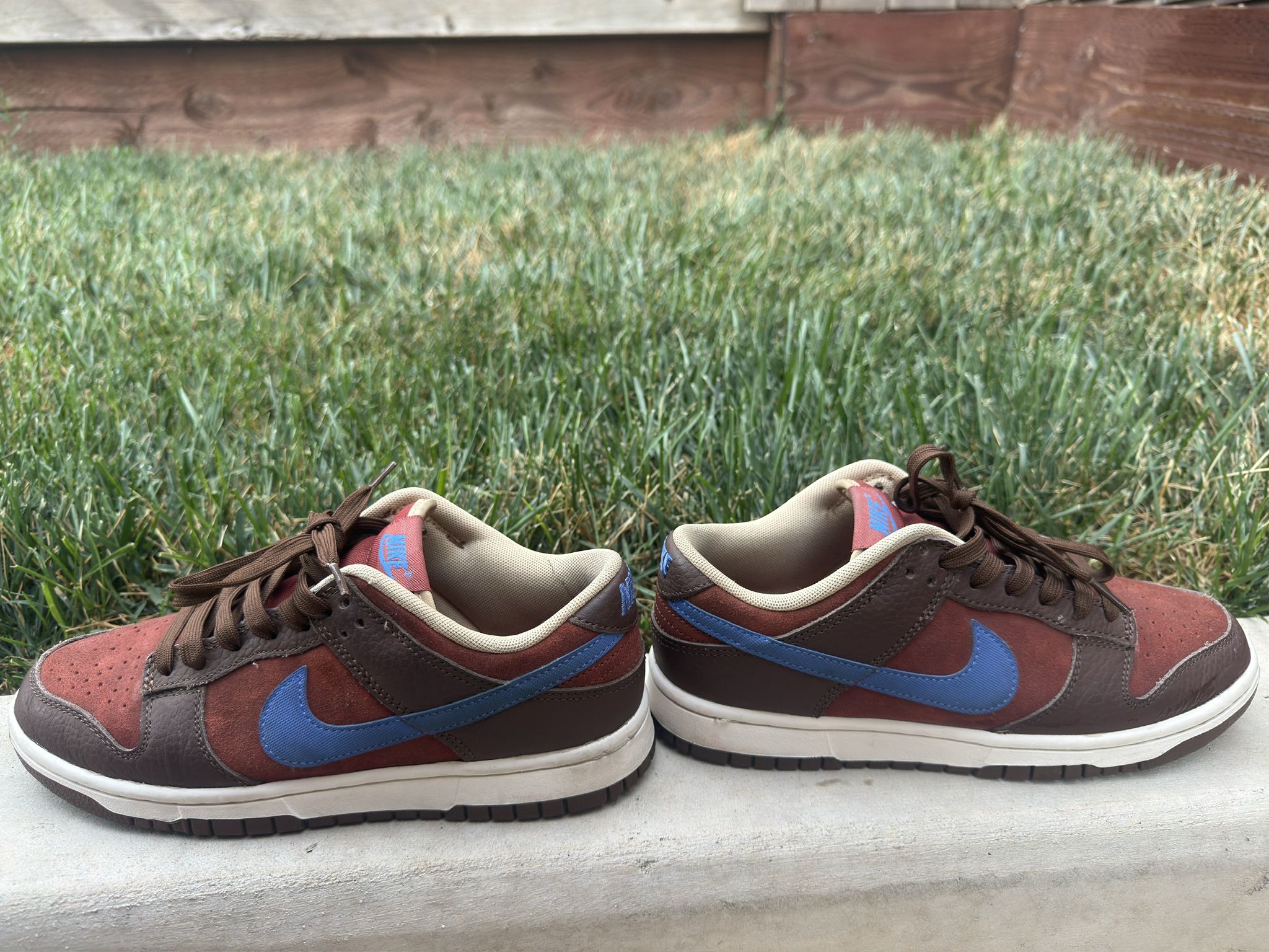Nike Dunk Low Retro Prm