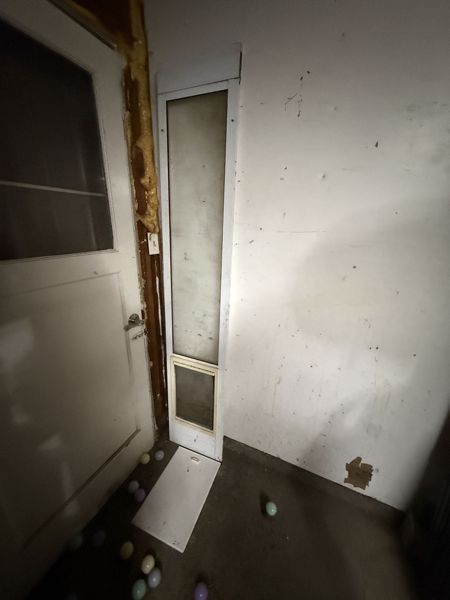 Extra Large Dog Door For Sliding Door