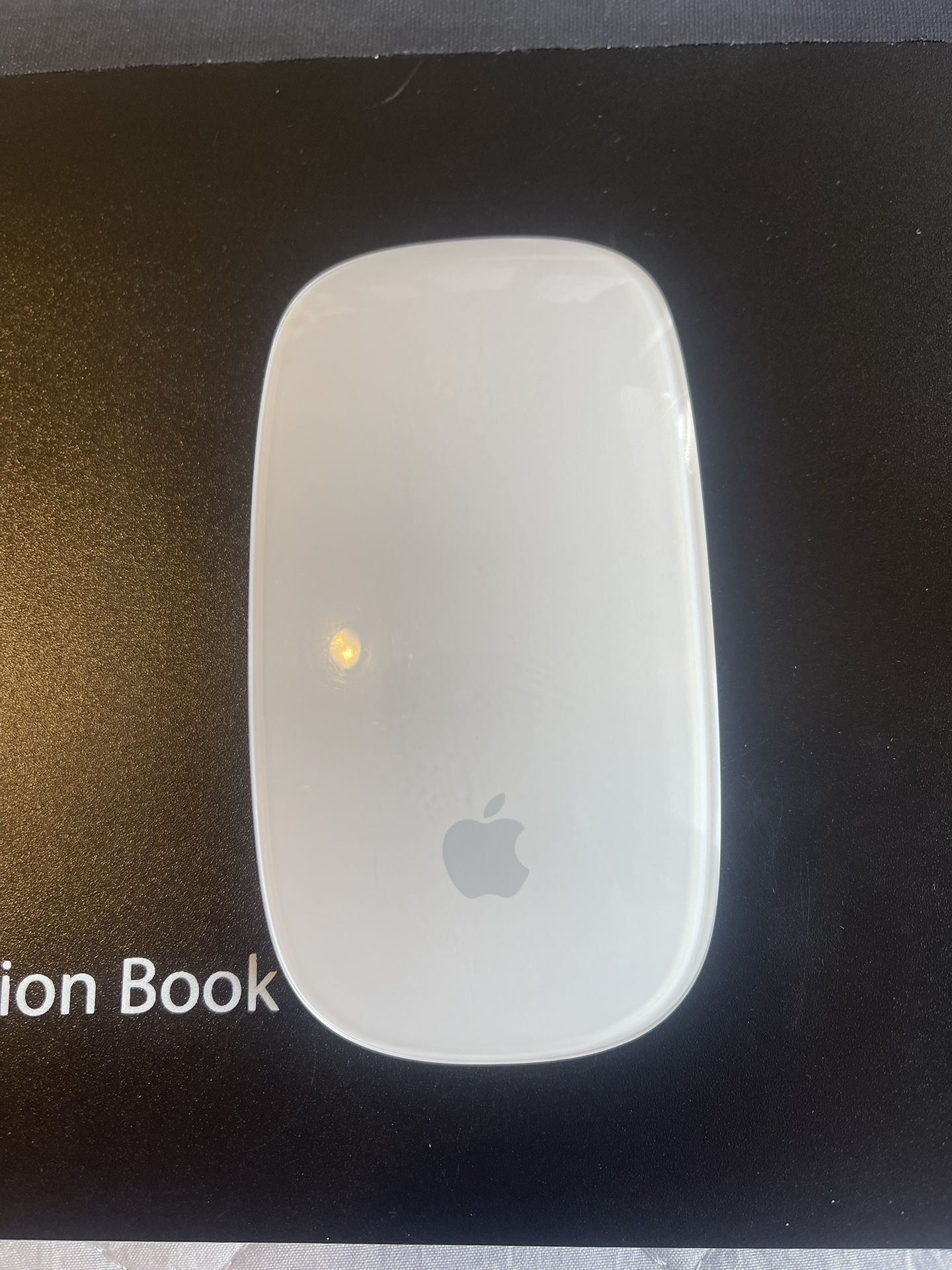 Apple Mouse Read Description 