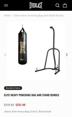 Everlast punching bag with stand