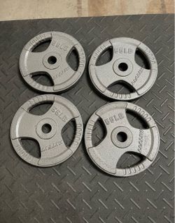 Olympic Weights 220lb total