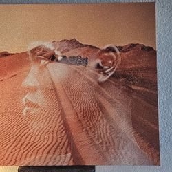 16 X 20 Bling Canvas 