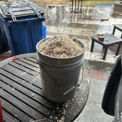 Snow Salt 