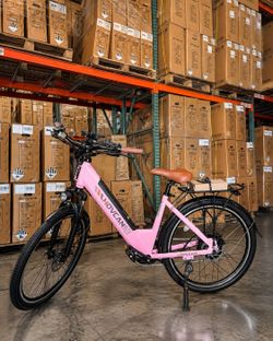 Electrica bicicleta